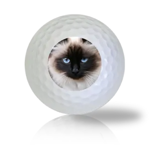 Birman Cat Golf Balls