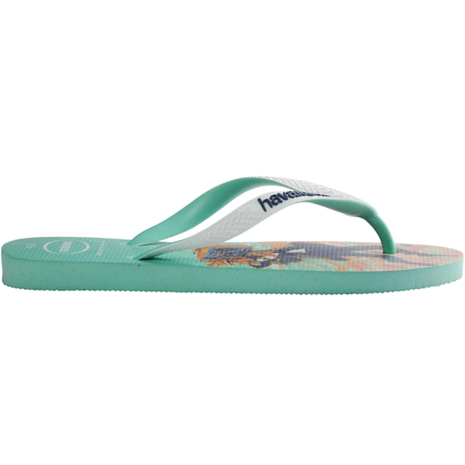 Havaianas Fortnight Flip Flops